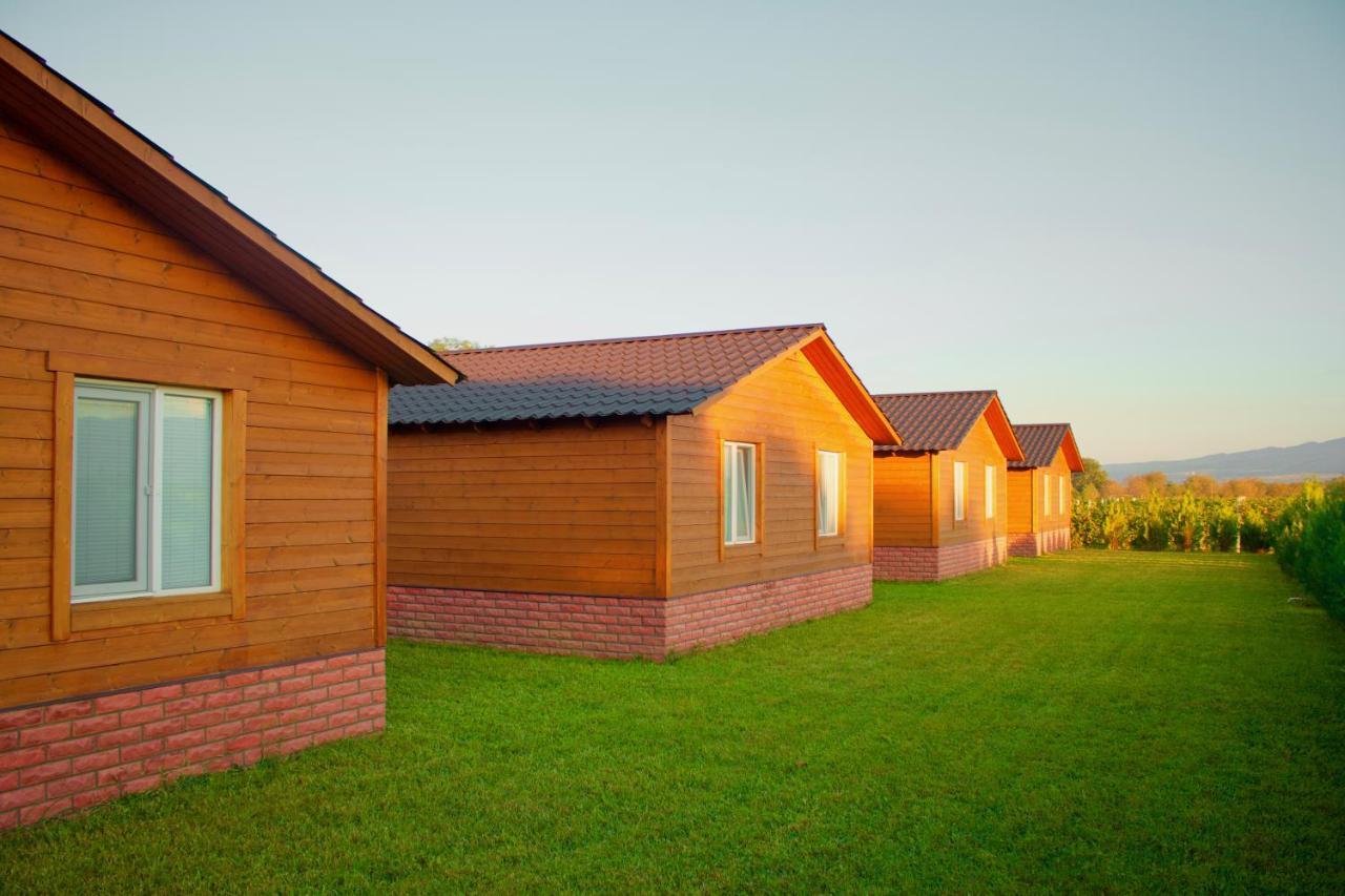 Finca Idoize Camping Hotel Akhmeta Exterior photo