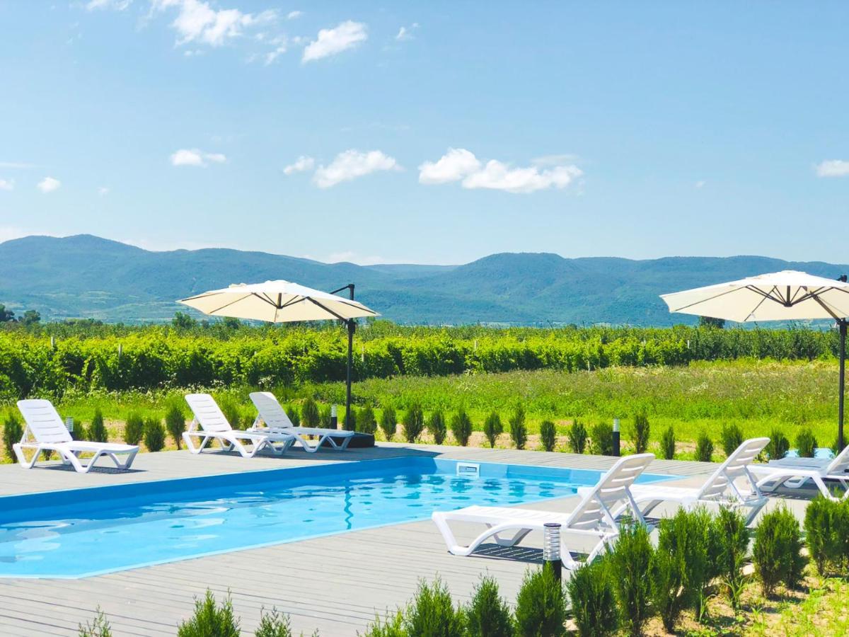 Finca Idoize Camping Hotel Akhmeta Exterior photo